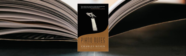 Piano Notes: The World of the Pianist